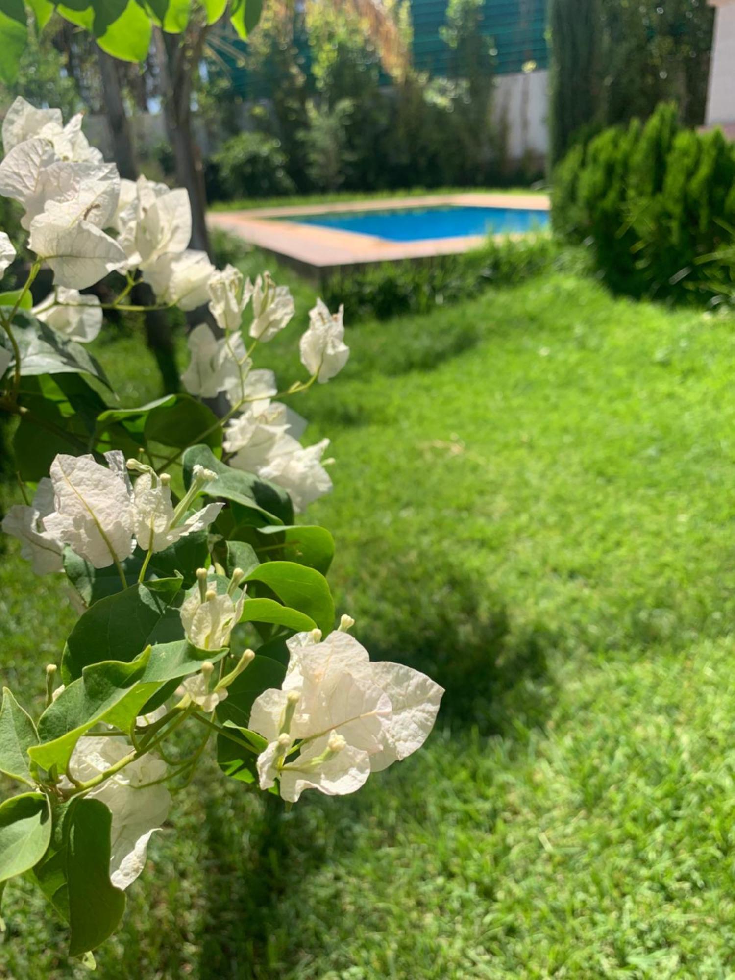 Villa Fatima Fes Ngoại thất bức ảnh